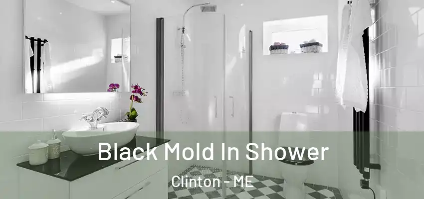 Black Mold In Shower Clinton - ME