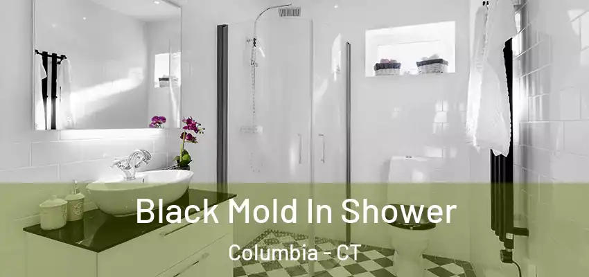  Black Mold In Shower Columbia - CT