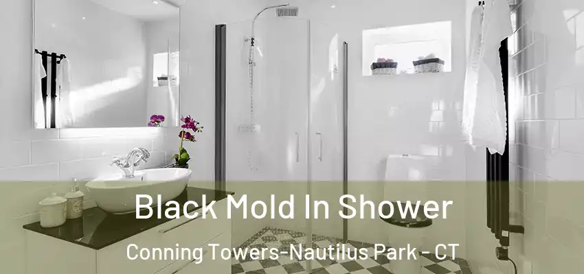 Black Mold In Shower Conning Towers-Nautilus Park - CT