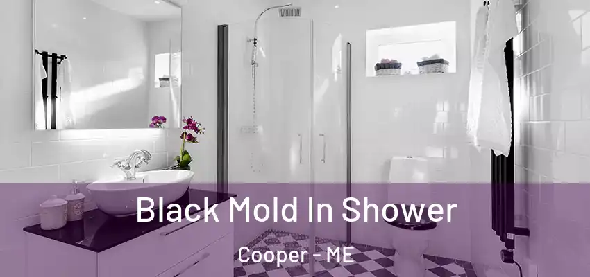 Black Mold In Shower Cooper - ME