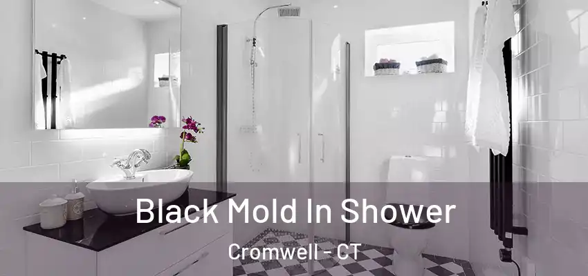 Black Mold In Shower Cromwell - CT
