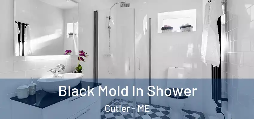 Black Mold In Shower Cutler - ME