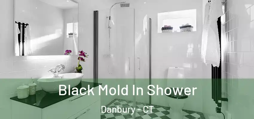  Black Mold In Shower Danbury - CT