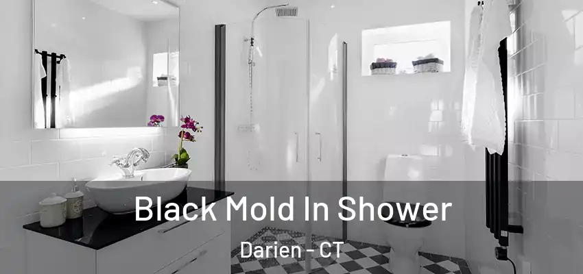 Black Mold In Shower Darien - CT