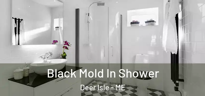  Black Mold In Shower Deer Isle - ME
