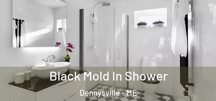  Black Mold In Shower Dennysville - ME