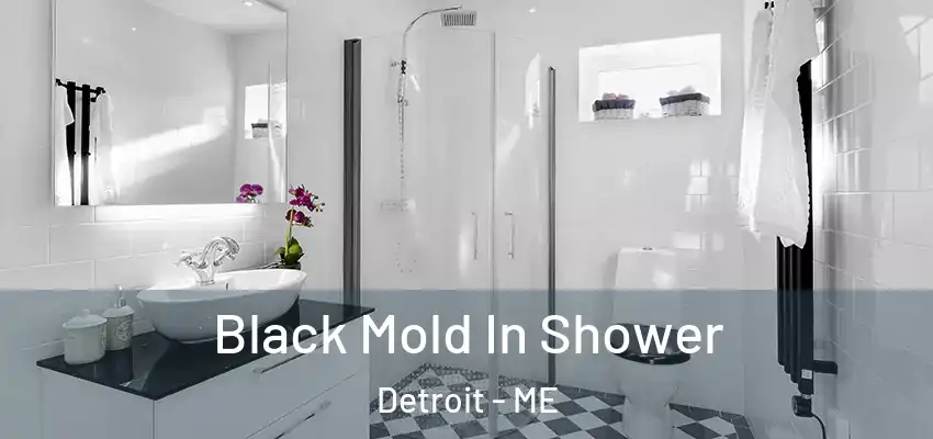  Black Mold In Shower Detroit - ME