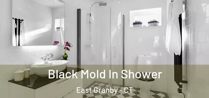 Black Mold In Shower East Granby - CT