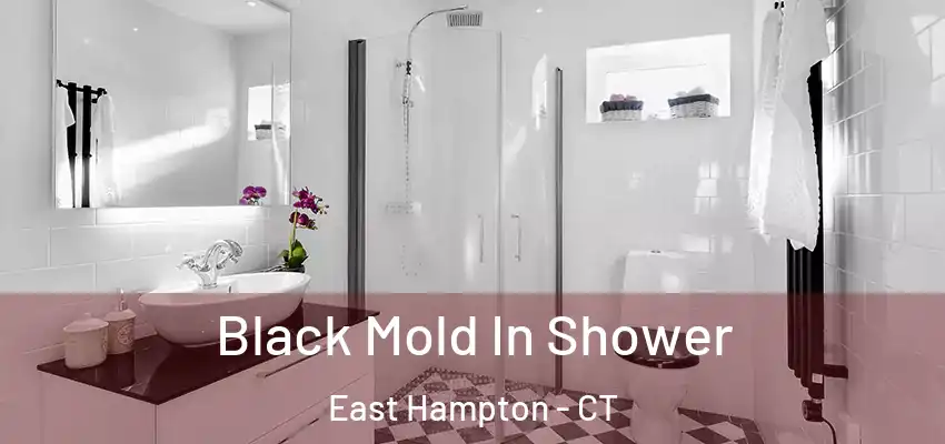  Black Mold In Shower East Hampton - CT