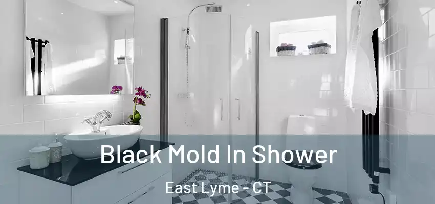  Black Mold In Shower East Lyme - CT