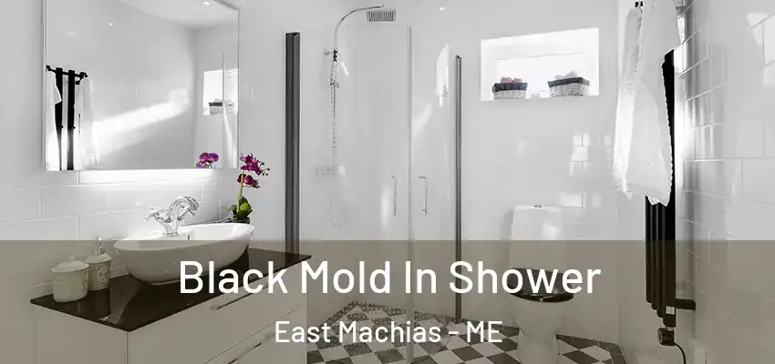  Black Mold In Shower East Machias - ME