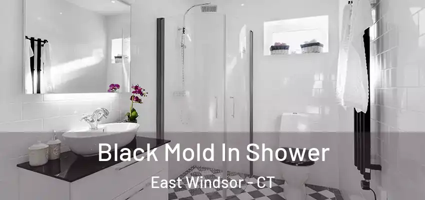  Black Mold In Shower East Windsor - CT