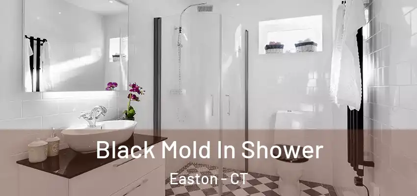 Black Mold In Shower Easton - CT