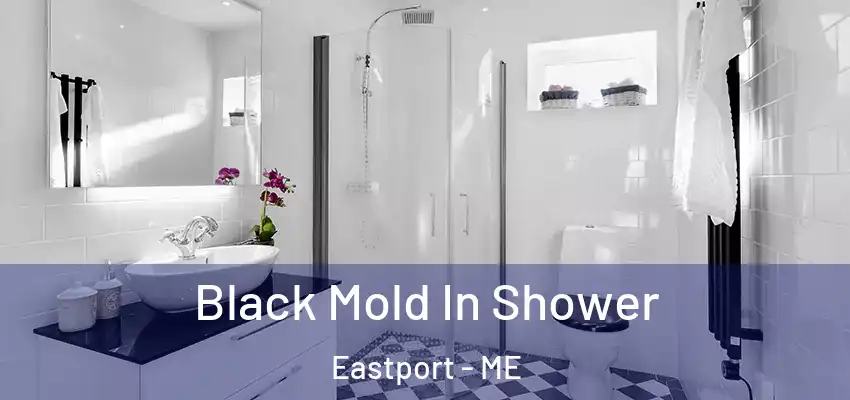  Black Mold In Shower Eastport - ME