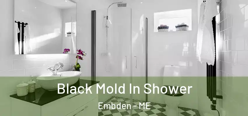 Black Mold In Shower Embden - ME