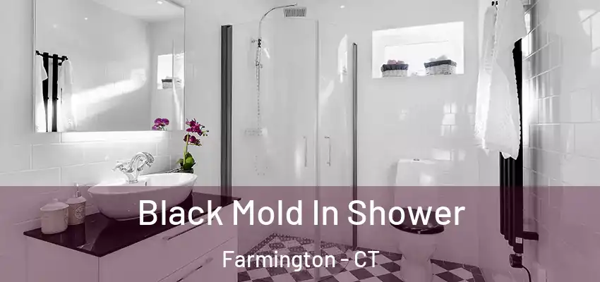  Black Mold In Shower Farmington - CT