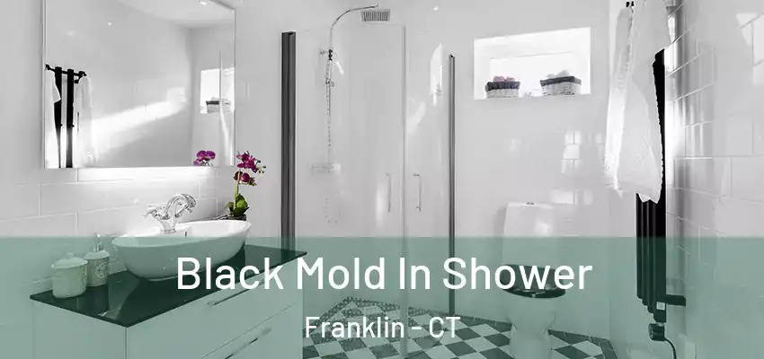 Black Mold In Shower Franklin - CT
