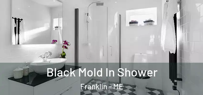  Black Mold In Shower Franklin - ME