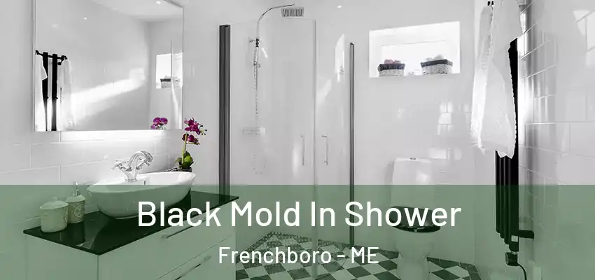 Black Mold In Shower Frenchboro - ME