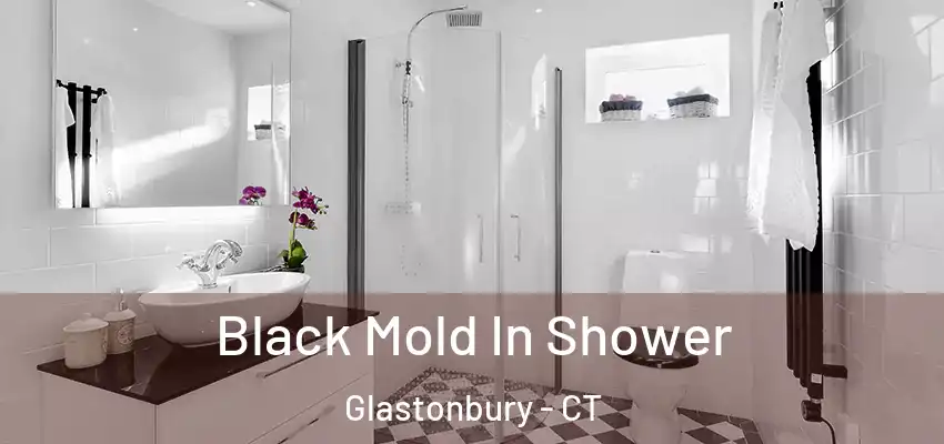  Black Mold In Shower Glastonbury - CT