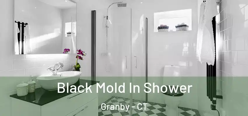  Black Mold In Shower Granby - CT