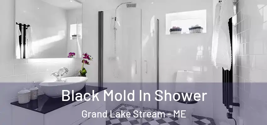 Black Mold In Shower Grand Lake Stream - ME