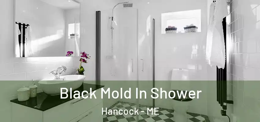  Black Mold In Shower Hancock - ME