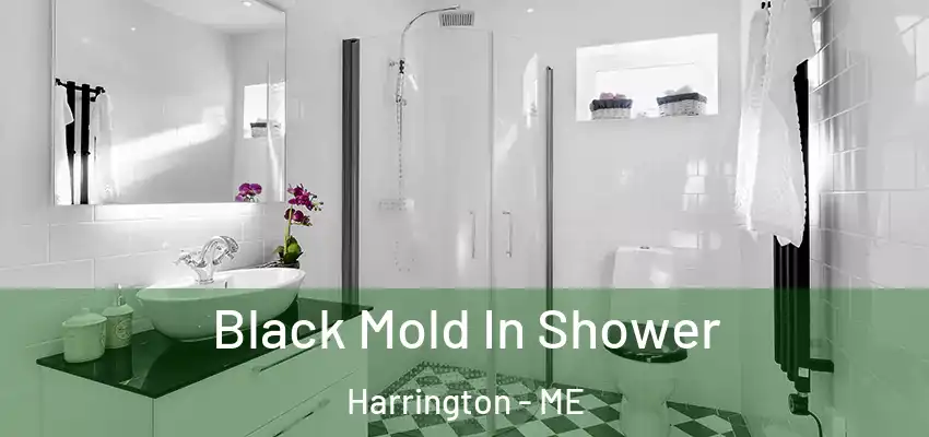 Black Mold In Shower Harrington - ME