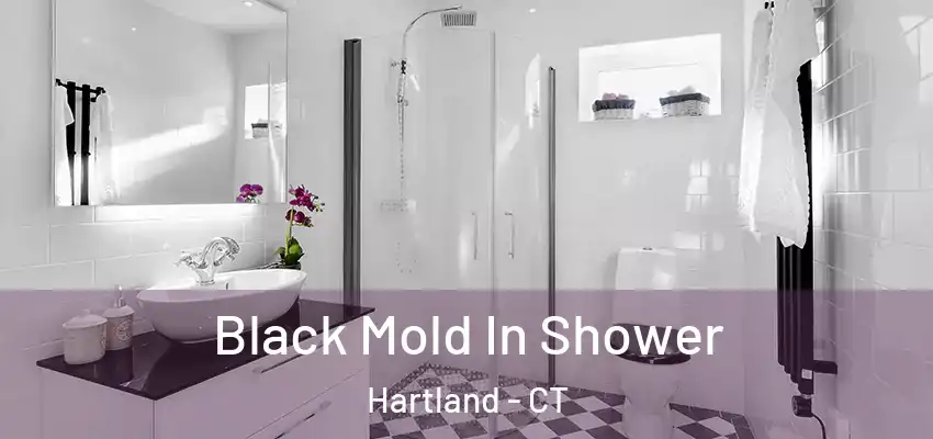  Black Mold In Shower Hartland - CT
