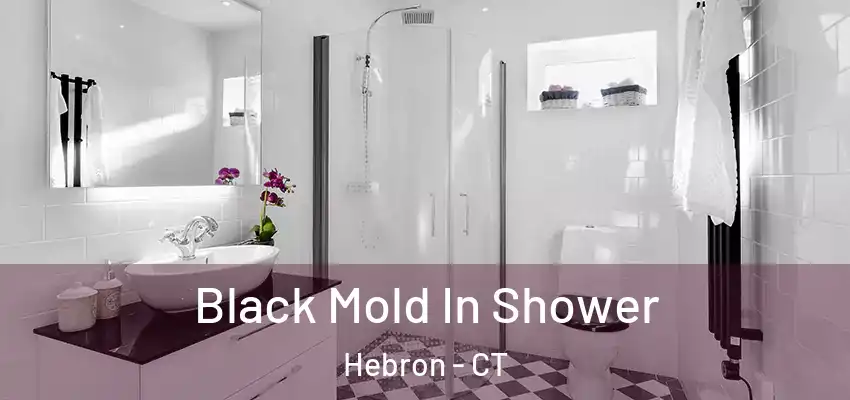 Black Mold In Shower Hebron - CT