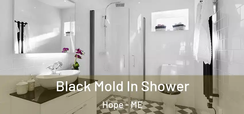  Black Mold In Shower Hope - ME