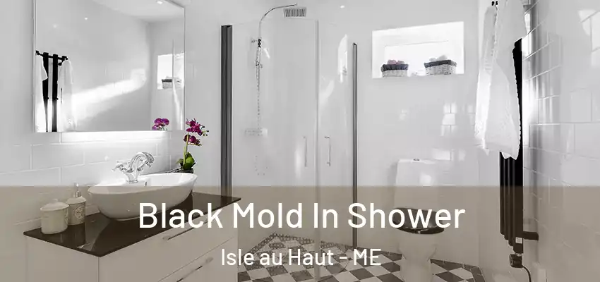 Black Mold In Shower Isle au Haut - ME
