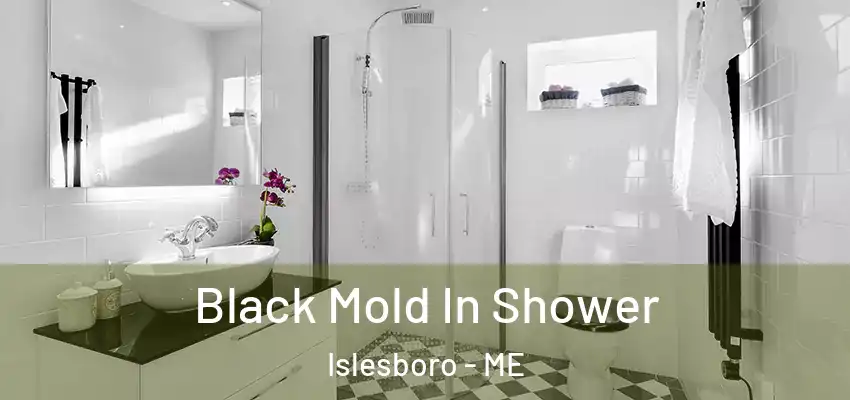  Black Mold In Shower Islesboro - ME