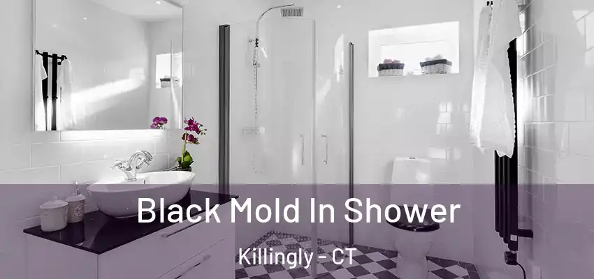 Black Mold In Shower Killingly - CT