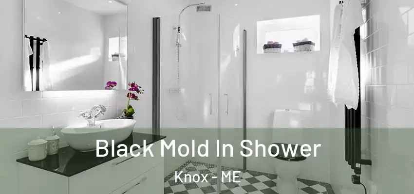  Black Mold In Shower Knox - ME