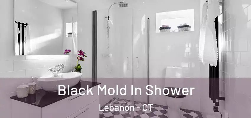 Black Mold In Shower Lebanon - CT