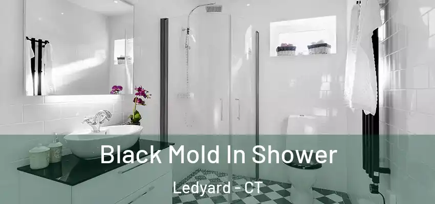 Black Mold In Shower Ledyard - CT