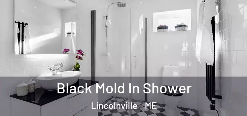  Black Mold In Shower Lincolnville - ME