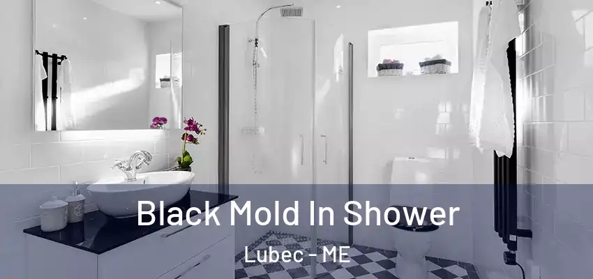  Black Mold In Shower Lubec - ME