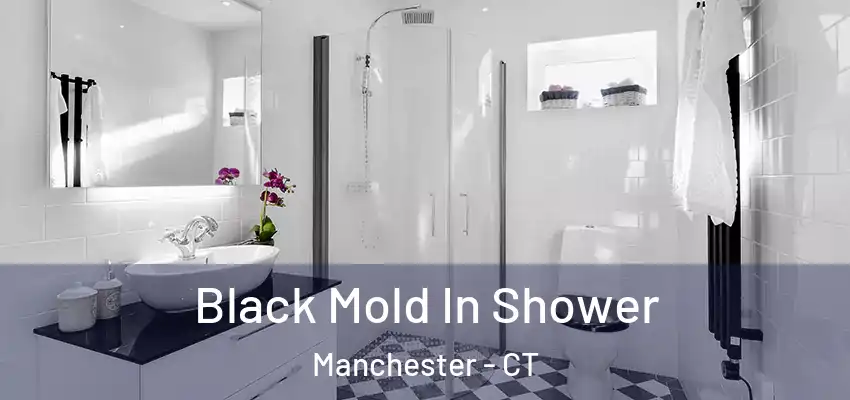  Black Mold In Shower Manchester - CT