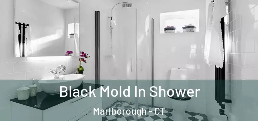  Black Mold In Shower Marlborough - CT
