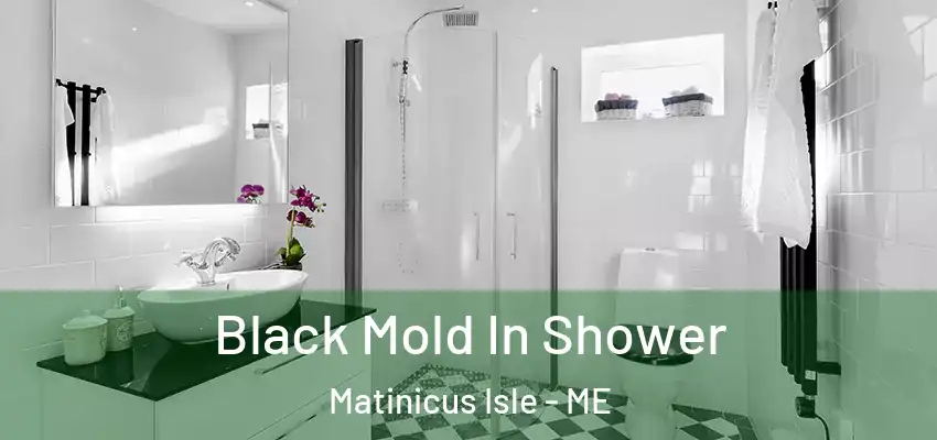  Black Mold In Shower Matinicus Isle - ME