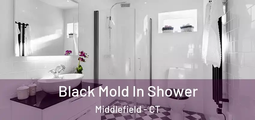 Black Mold In Shower Middlefield - CT