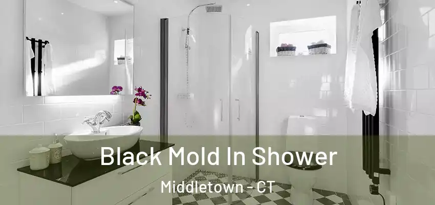  Black Mold In Shower Middletown - CT