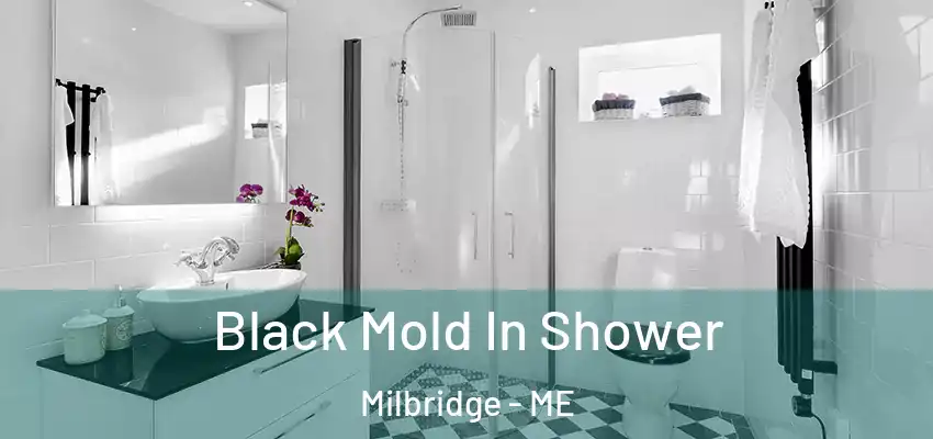  Black Mold In Shower Milbridge - ME