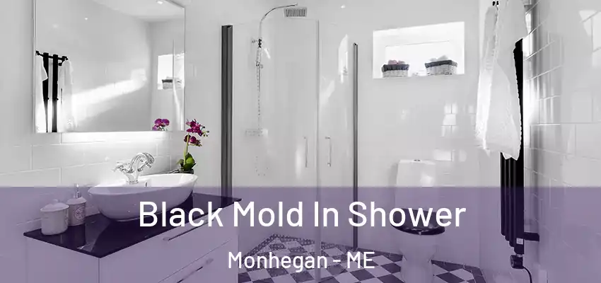 Black Mold In Shower Monhegan - ME