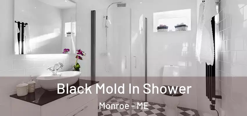  Black Mold In Shower Monroe - ME
