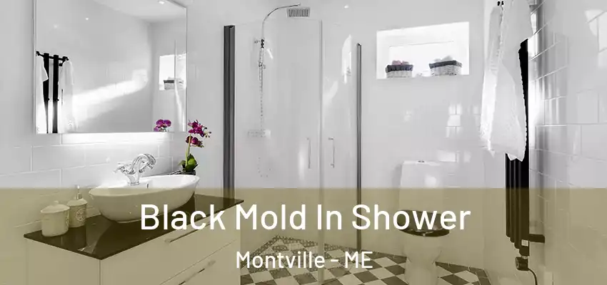 Black Mold In Shower Montville - ME