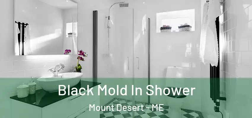  Black Mold In Shower Mount Desert - ME