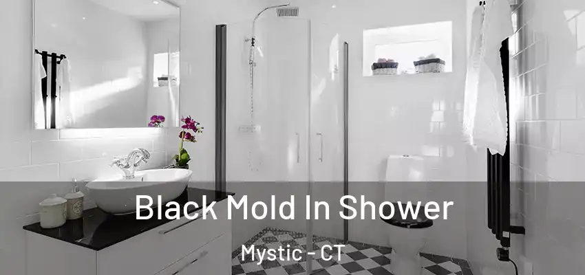 Black Mold In Shower Mystic - CT